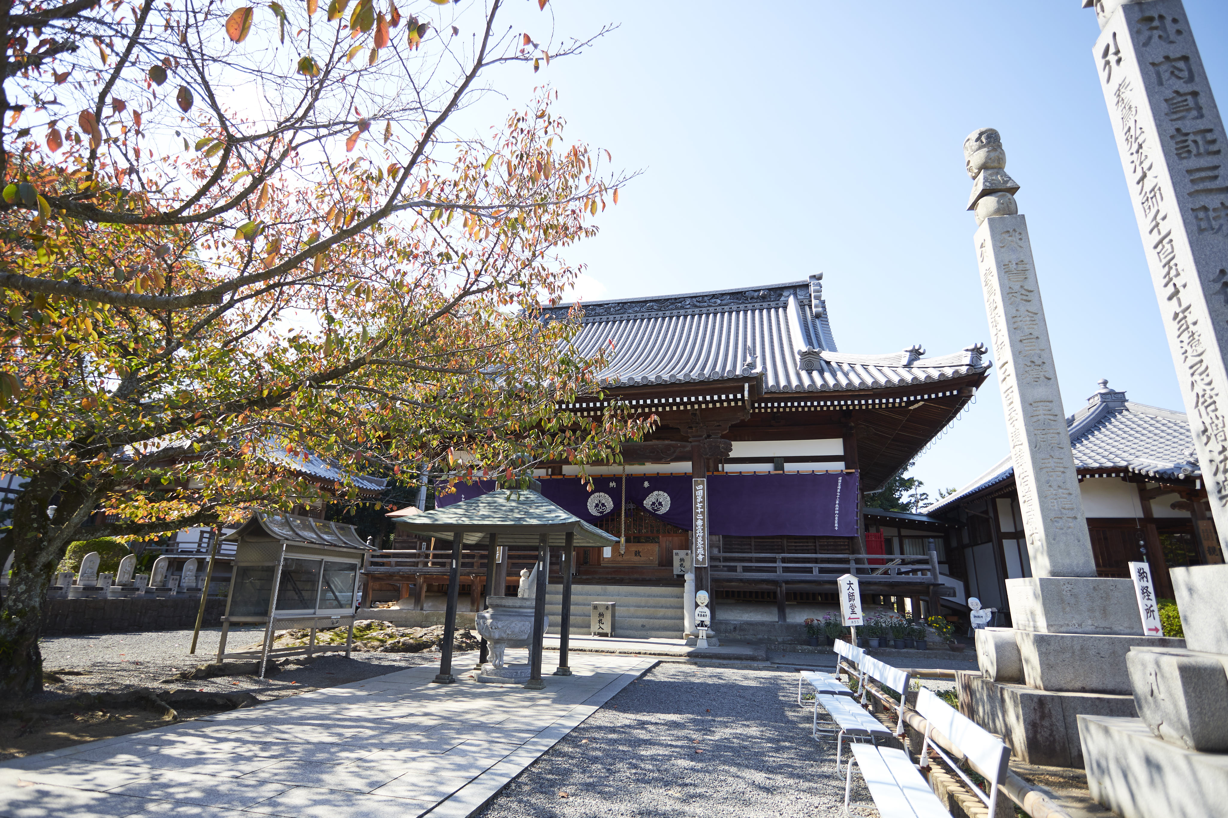 曼荼羅寺の画像